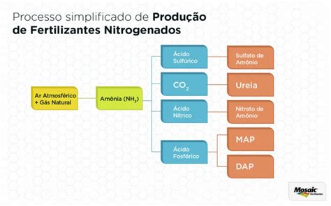  Ureia na Produção de Fertilizantes: Uma Exploração Detalhada da Química e Aplicações