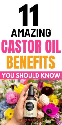 Castor Oil - Um Óleo Vegetal Multifacetado para Aplicações de Bioplásticos e Lubrificantes!