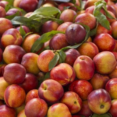 Nectarines: A Versatile Fruit for Juices and Preserves!