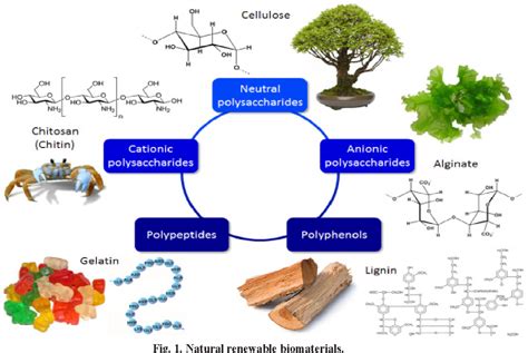 Xylitol: Uma Maravilha Natural para Aplicações de Revestimento e Biomateriais!